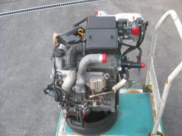u1107038033.1