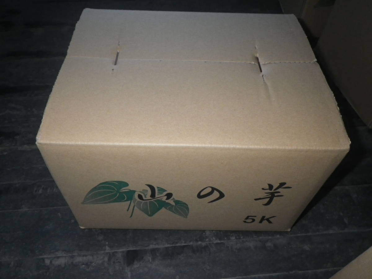 山の芋　つくね芋　5kg　生産者直送