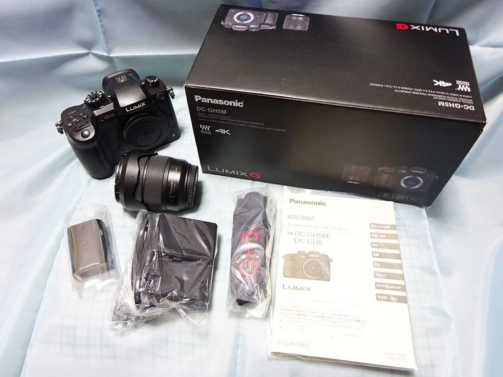 ☆送料込み！☆美品 中古品☆Panasonic LUMIX DC-GH5M GH5 標準ズーム