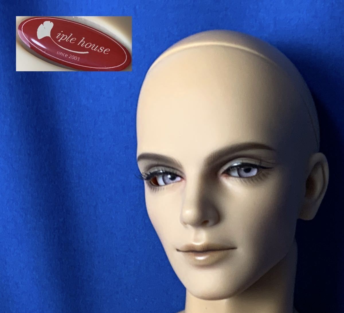お得，安い 1000円〜 iplp house E.D.I Z-E080701 ドール 男性 全長70cm 箱付 okoy2336993-144 o9243(本体)｜売買されたオークション情報、yahooの商品情報をアーカイブ公開 - オークファン 本体