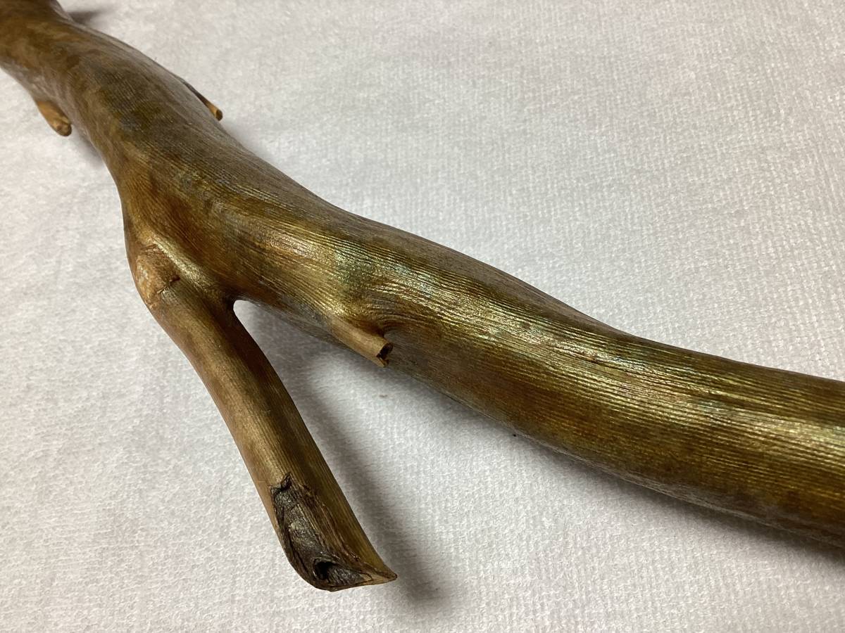 ☆超希少☆海松☆深海松☆置物☆送料無料◇40(科学、自然)｜売買された