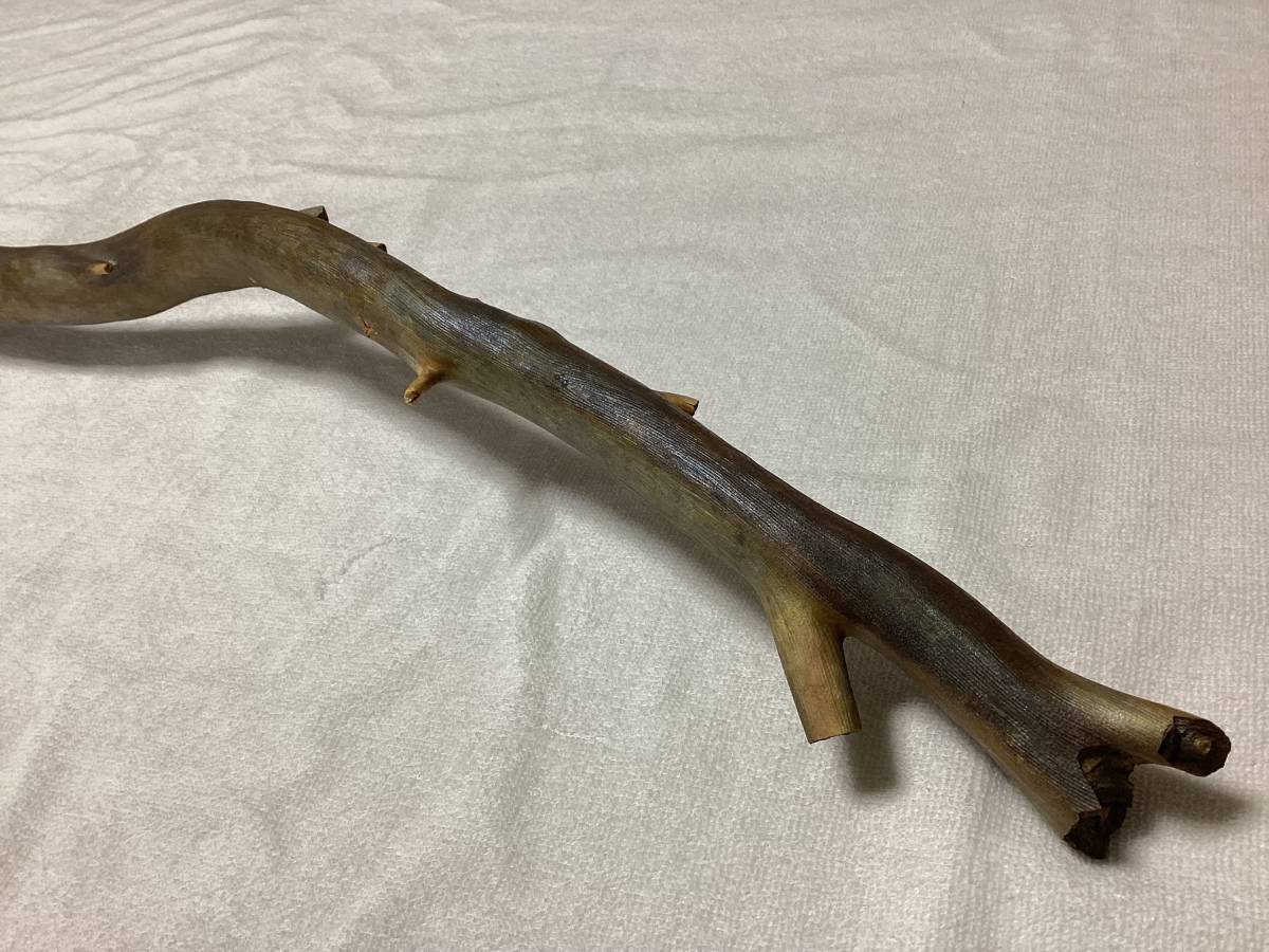 ☆超希少☆海松☆深海松☆置物☆送料無料◇40(科学、自然)｜売買された