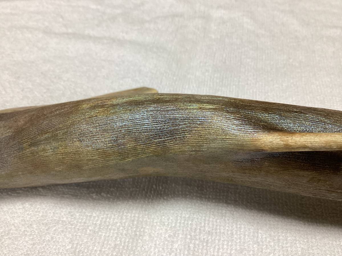 ☆超希少☆海松☆深海松☆置物☆送料無料◇40(科学、自然)｜売買された