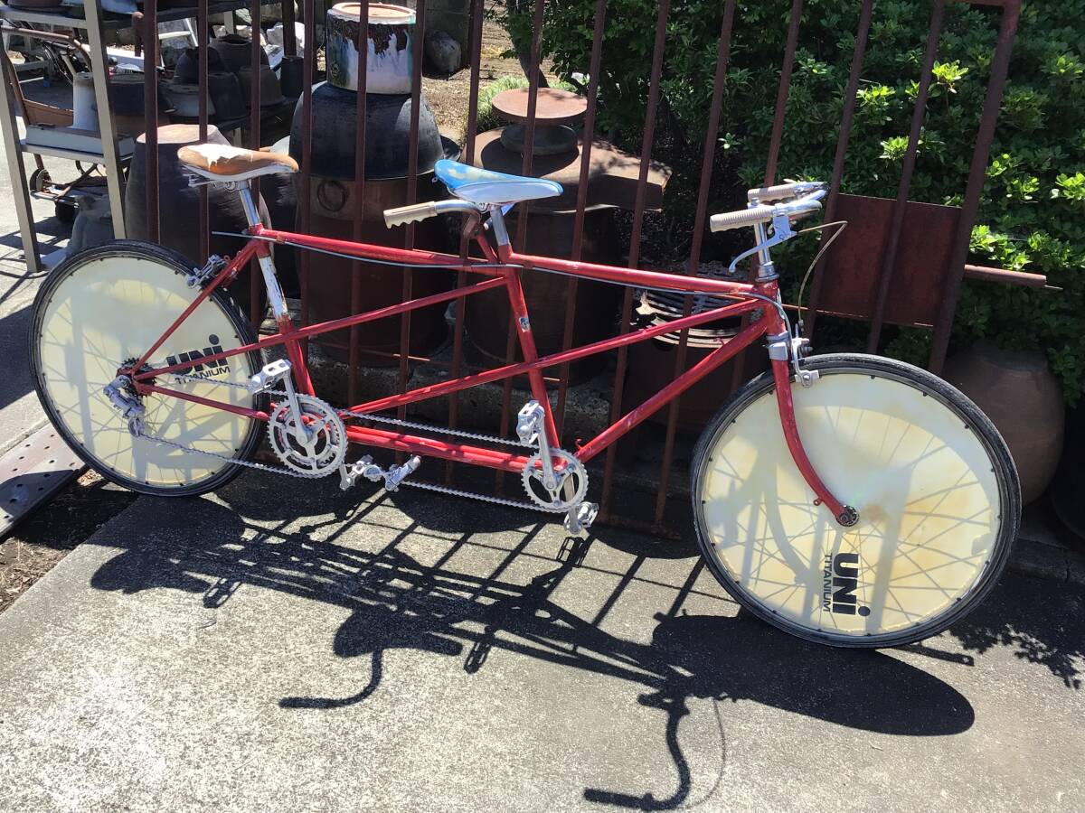 群馬引き取り限定　古い2人乗り自転車　現状で画像参考にお願いします　出す金額間違えました　安いと思います　店舗ディスプレイにでも_1