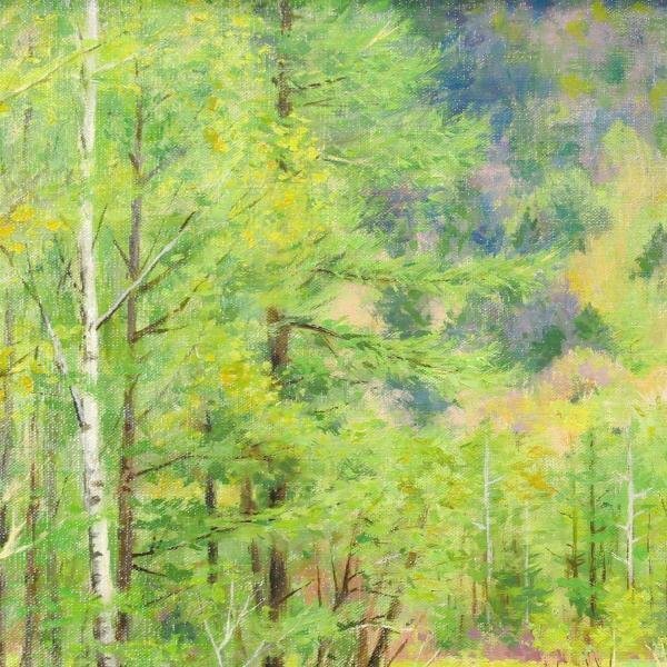 真作】【WISH】徳田宏行「新緑田代池」油彩 8号 ◇緑の水面映える名画