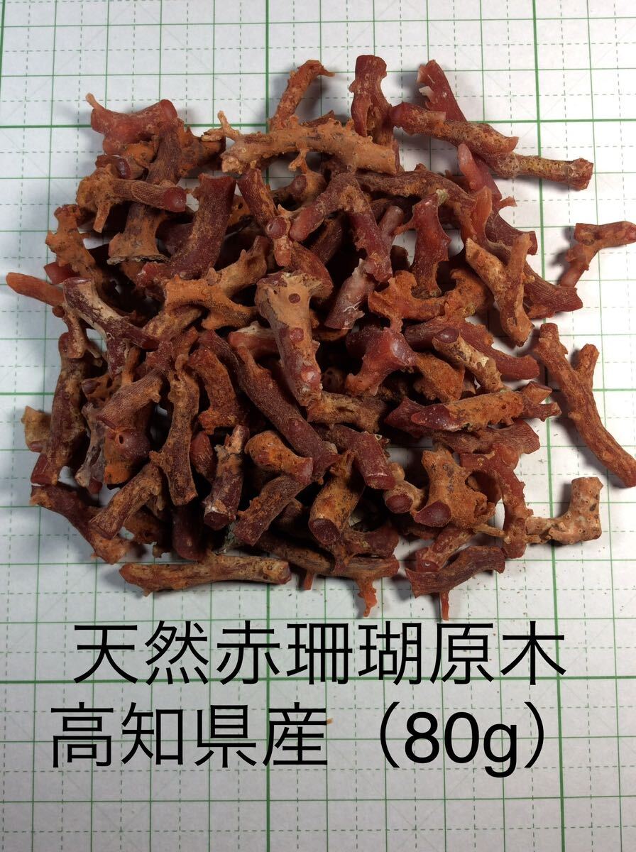 天然　赤珊瑚　原木　高知県産　80g 素材　材料　Ｕー23_1