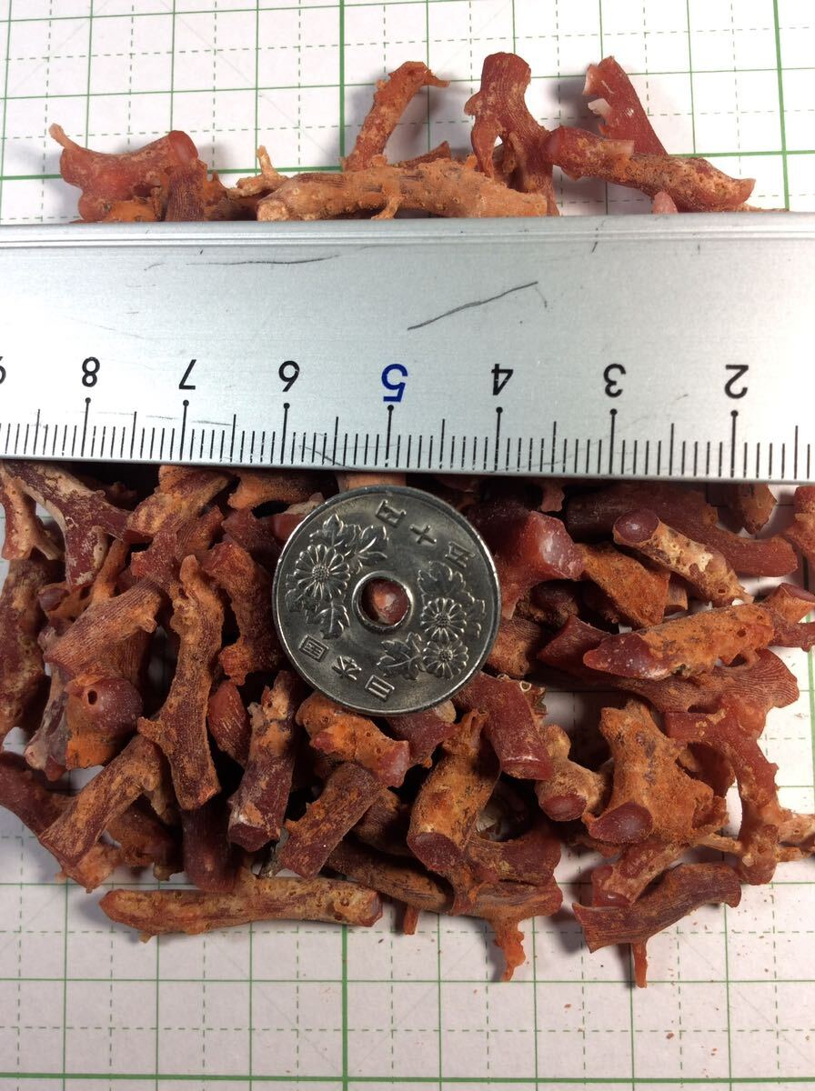天然　赤珊瑚　原木　高知県産　80g 素材　材料　Ｕー23_2
