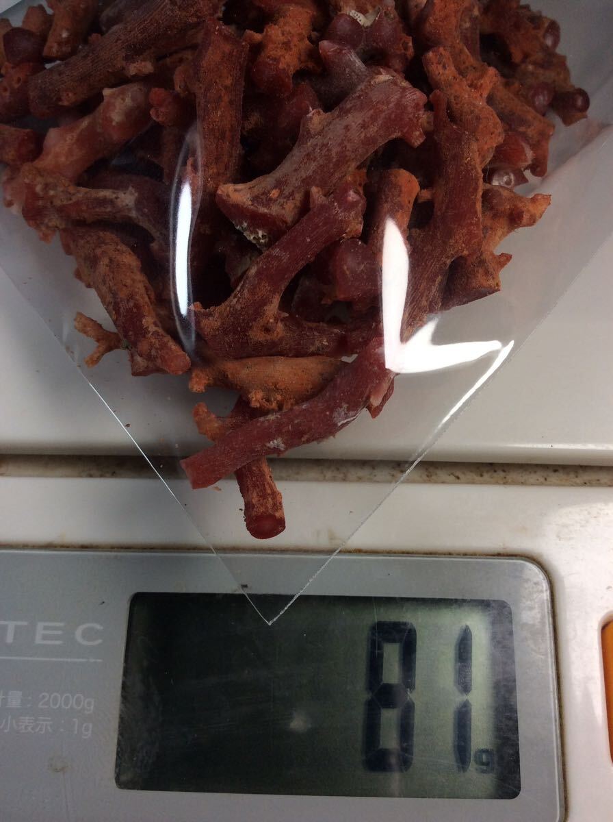 天然　赤珊瑚　原木　高知県産　80g 素材　材料　Ｕー23_4