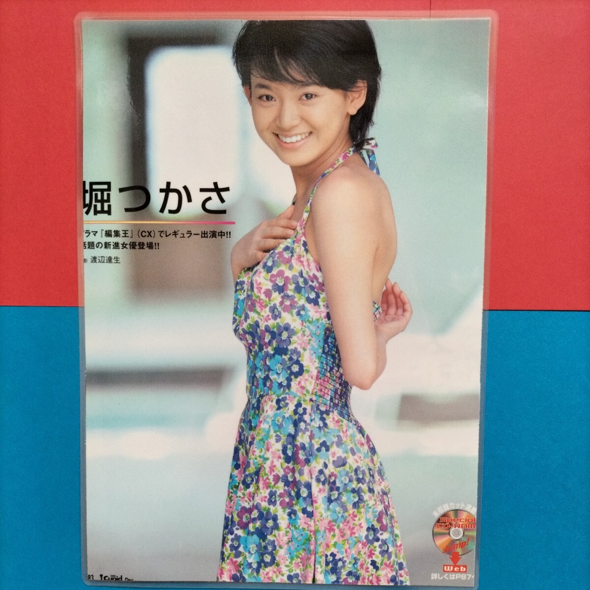 グラビア/水着グラビア/ラミネート加工】堀つかさ 2枚4面(タレント