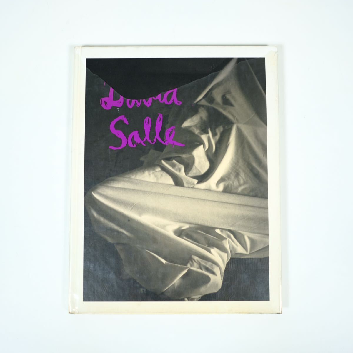 David Salle デヴィッド・サーレ 写真集 洋書 ヌード ポートレート
