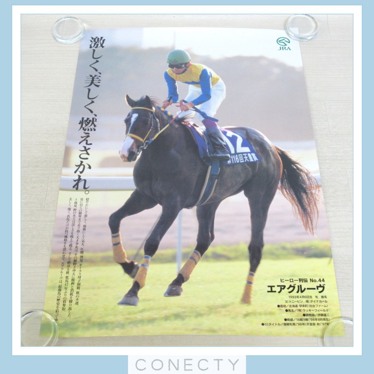 JRA ポスター ヒーロー列伝 エアグルーヴ B2サイズ 競馬【U5【S2(競馬
