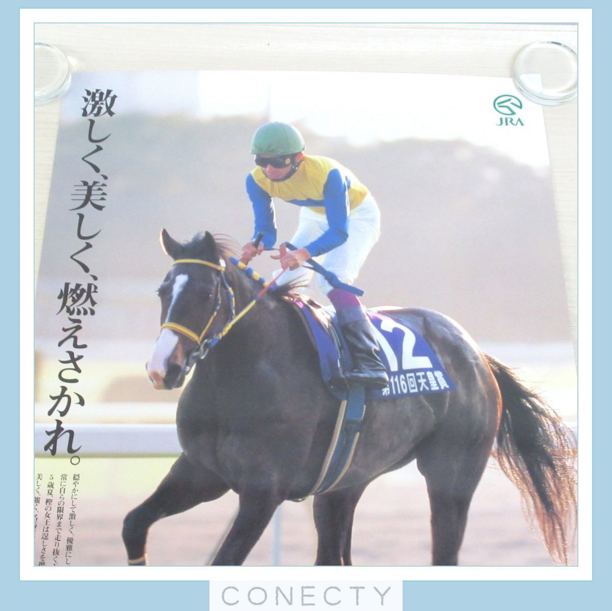 JRA ポスター ヒーロー列伝 エアグルーヴ B2サイズ 競馬【U5【S2(競馬
