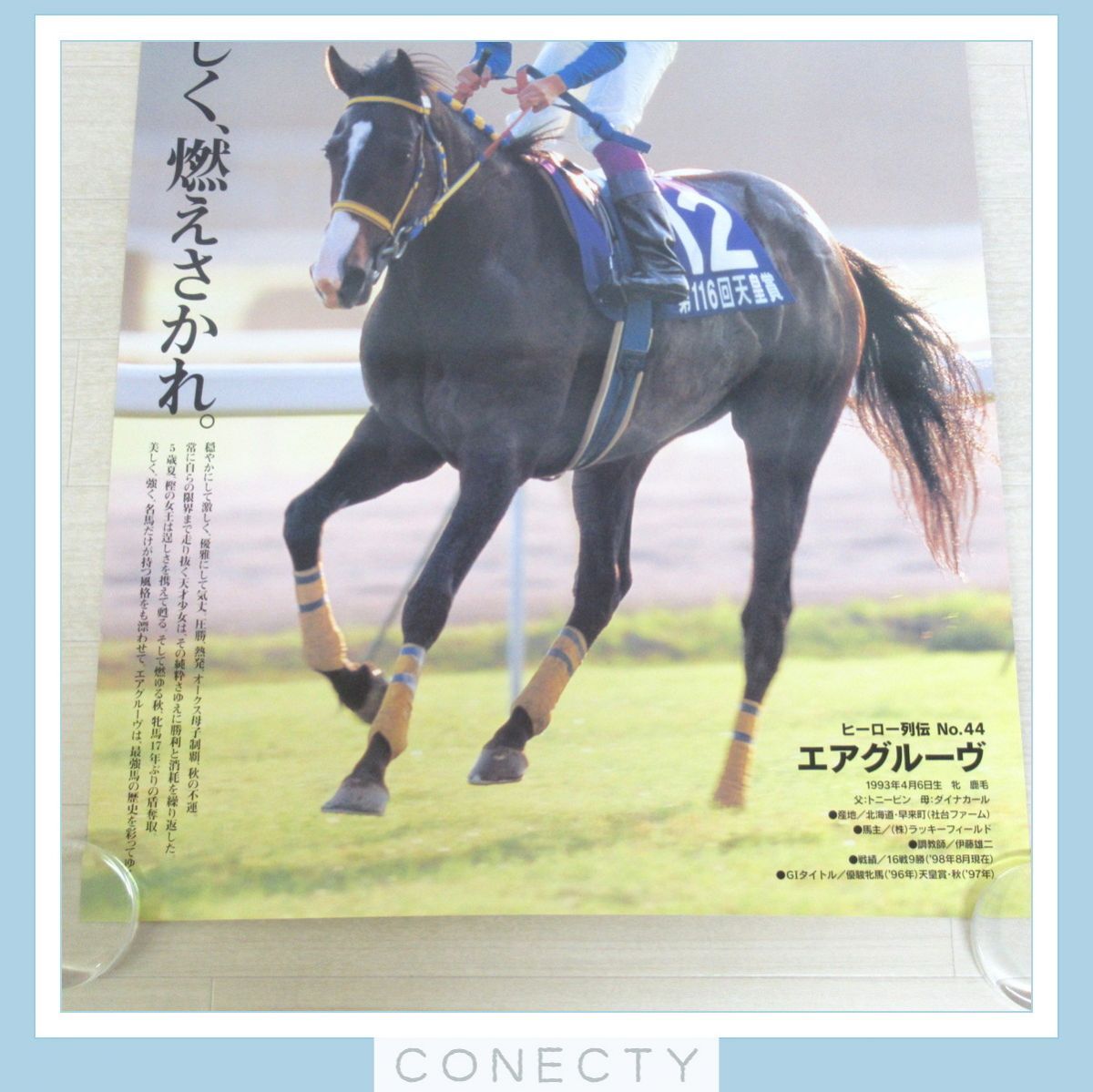 JRA ポスター ヒーロー列伝 エアグルーヴ B2サイズ 競馬【U5【S2(競馬
