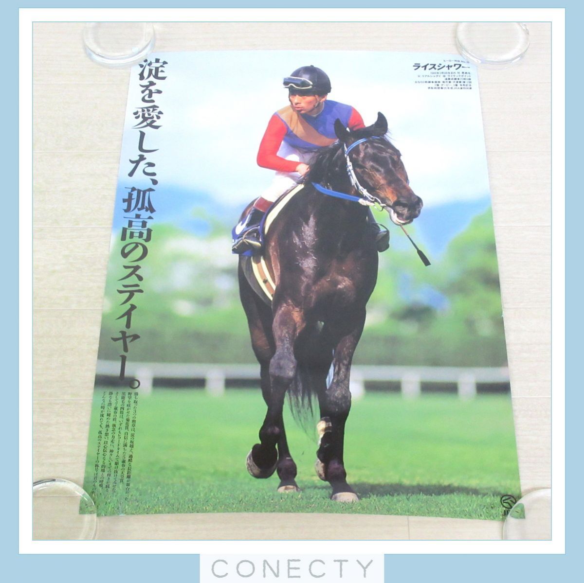JRA ポスター ヒーロー列伝 エアグルーヴ B2サイズ 競馬【U5【S2(競馬