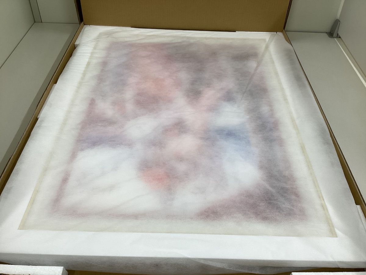 同梱不可/現状】アールビバン 版画 ももこ DX版 新年の願いごと 作品
