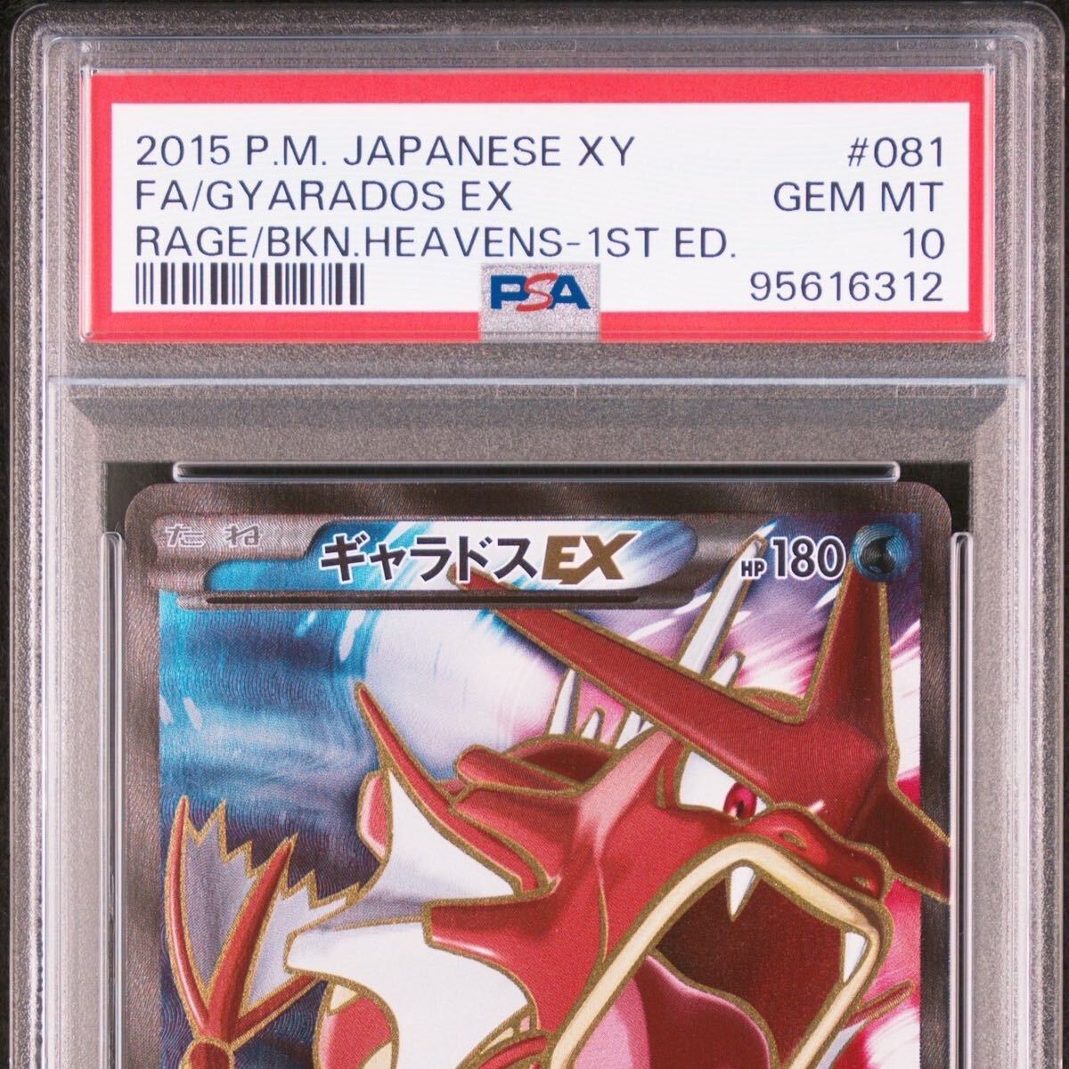 psa10 ギャラドスex sr ポケモンカード 081/080 破天の怒り 2015 P.M.