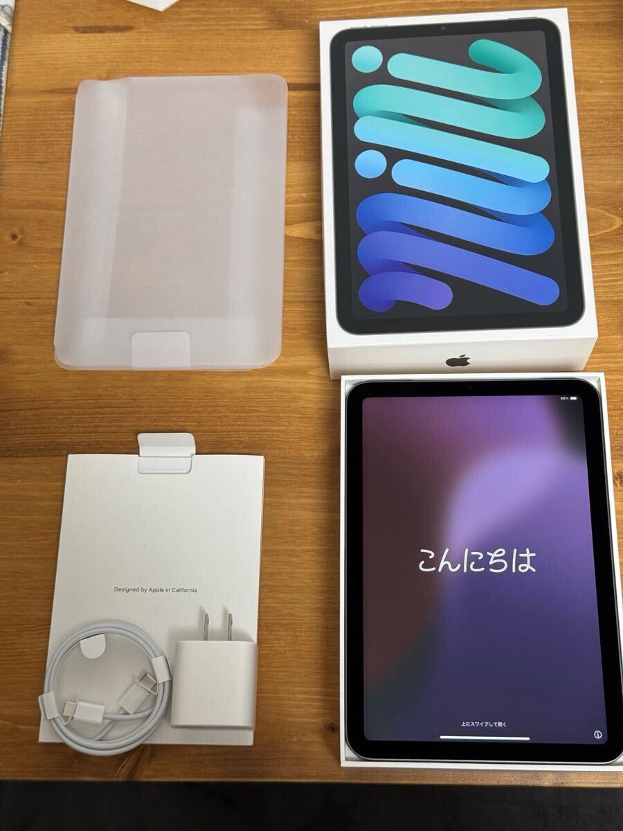 Apple iPad mini6 スペースグレー 本体 iPad mini 第6世代 256GB WiFi