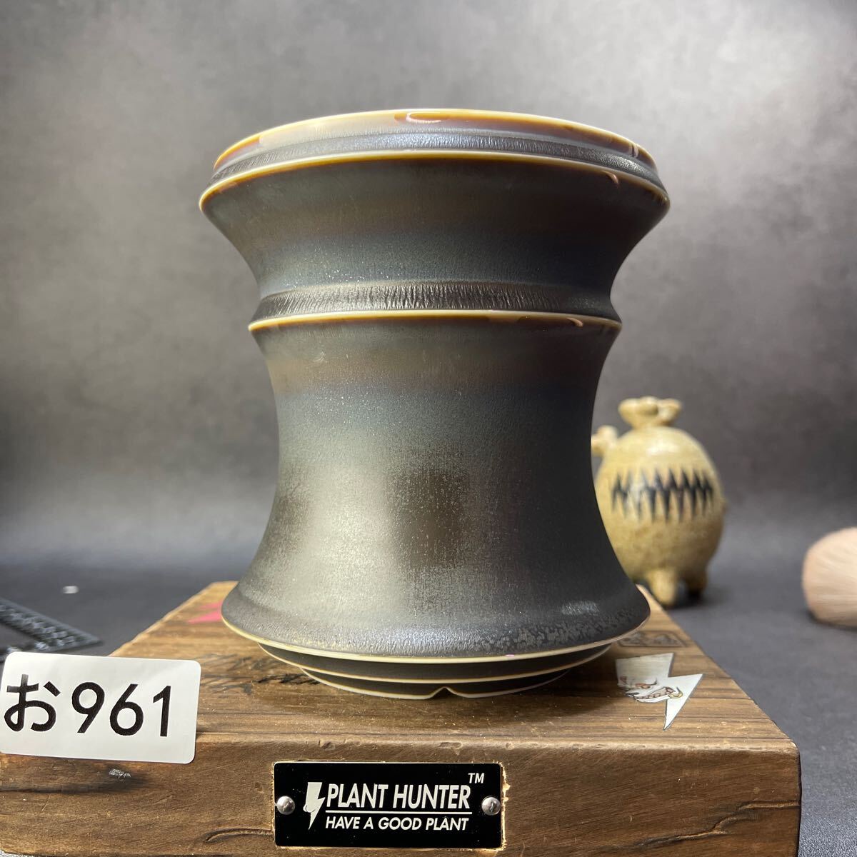 ご124 伝市鉢 植木鉢 陶器 7号 検（アガベ パキプス 姫巌竜 帝釈天 黒