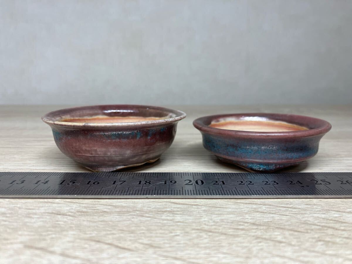 一蒼 ミニ盆栽鉢 コバルトブルー 2個セット（検索 小品 ミニ 豆鉢 豆
