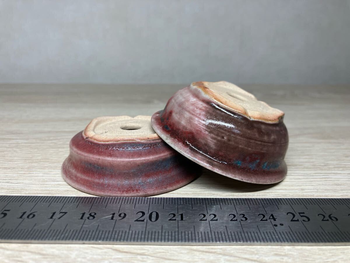 一蒼 ミニ盆栽鉢 コバルトブルー 2個セット（検索 小品 ミニ 豆鉢 豆