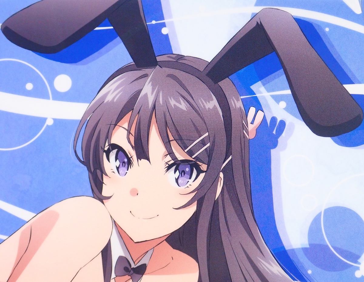 ◆ 桜島麻衣 バニーガールver. クリアファイル 青春ブタ野郎はバニーガール先輩の夢を見ない ◆_10