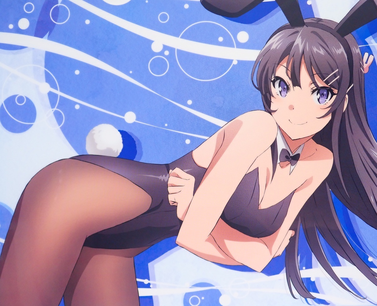 ◆ 桜島麻衣 バニーガールver. クリアファイル 青春ブタ野郎はバニーガール先輩の夢を見ない ◆_3