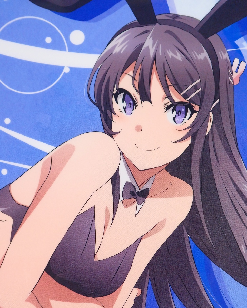 ◆ 桜島麻衣 バニーガールver. クリアファイル 青春ブタ野郎はバニーガール先輩の夢を見ない ◆_4