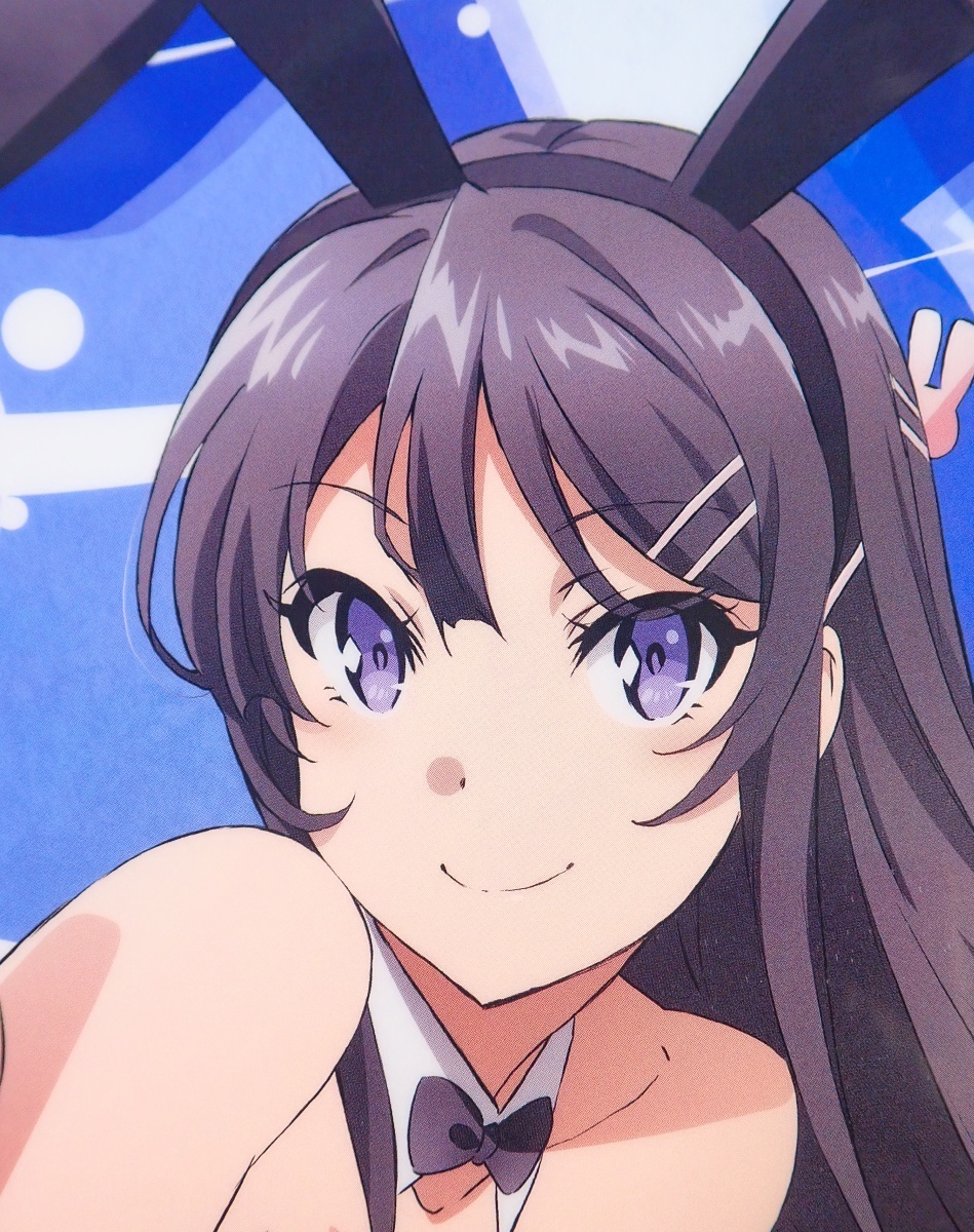 ◆ 桜島麻衣 バニーガールver. クリアファイル 青春ブタ野郎はバニーガール先輩の夢を見ない ◆_5