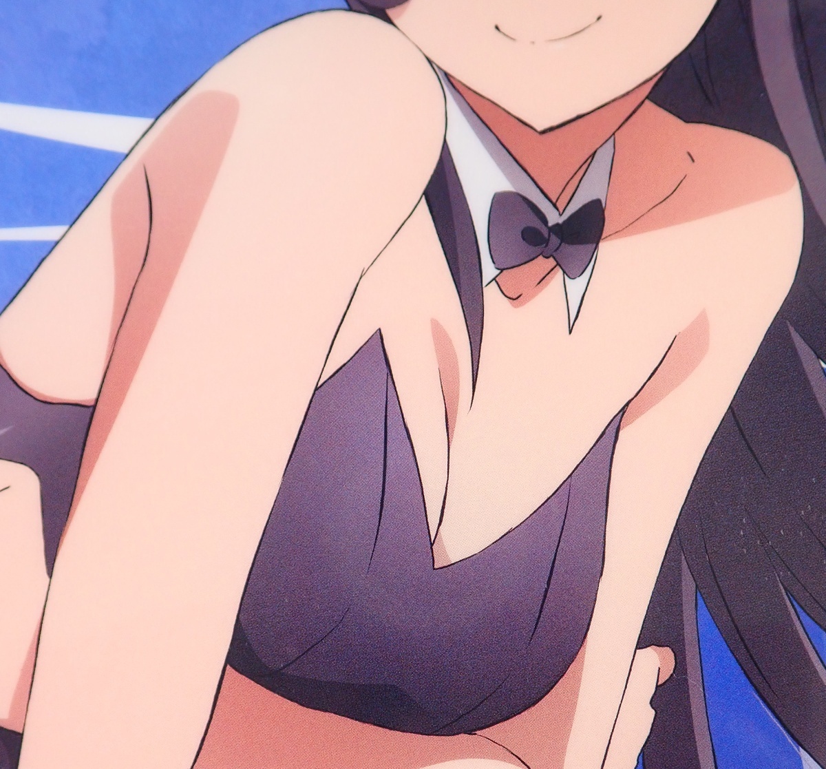 ◆ 桜島麻衣 バニーガールver. クリアファイル 青春ブタ野郎はバニーガール先輩の夢を見ない ◆_6