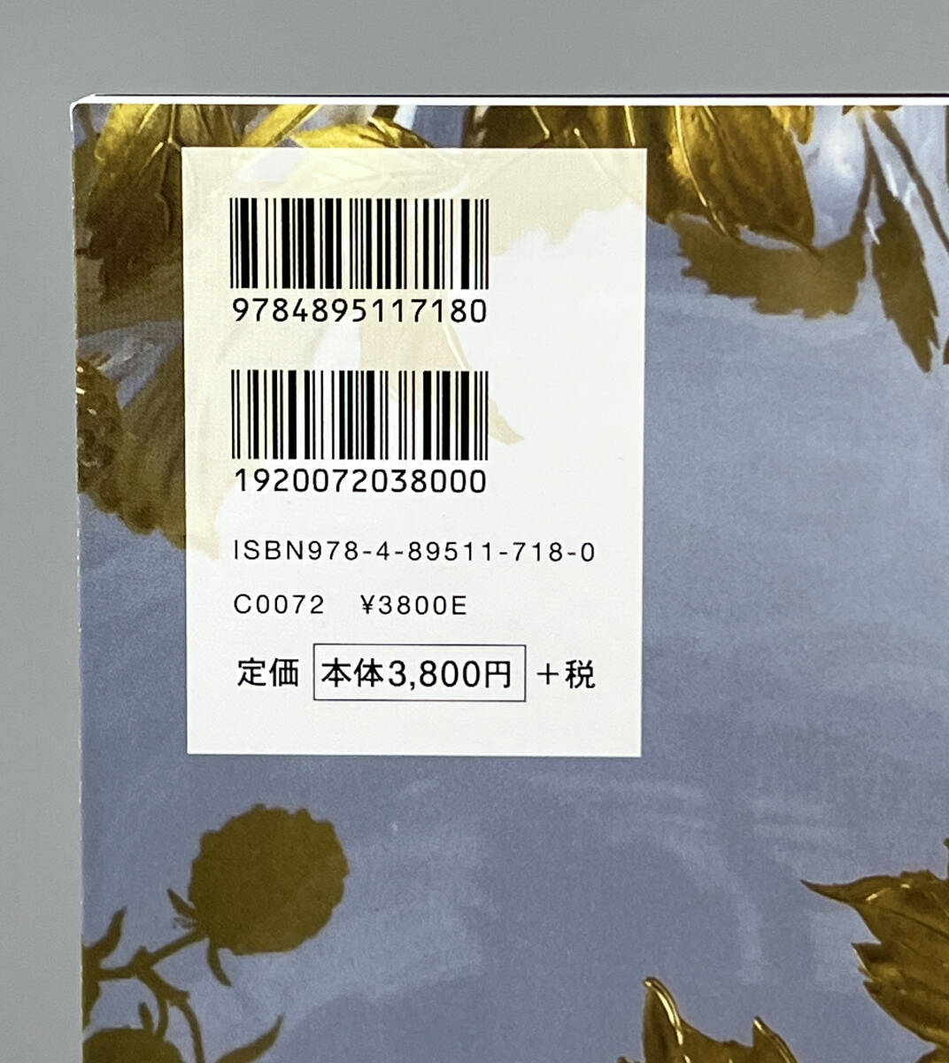 Old Baccarat-Tableware (増刊緑青 Vol. 8) 新品　(検) バカラ オールドバカラ フランス 図録_3