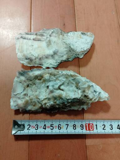 牡蠣殻15枚ほど　メダカの水質改善に…　送料無料_4