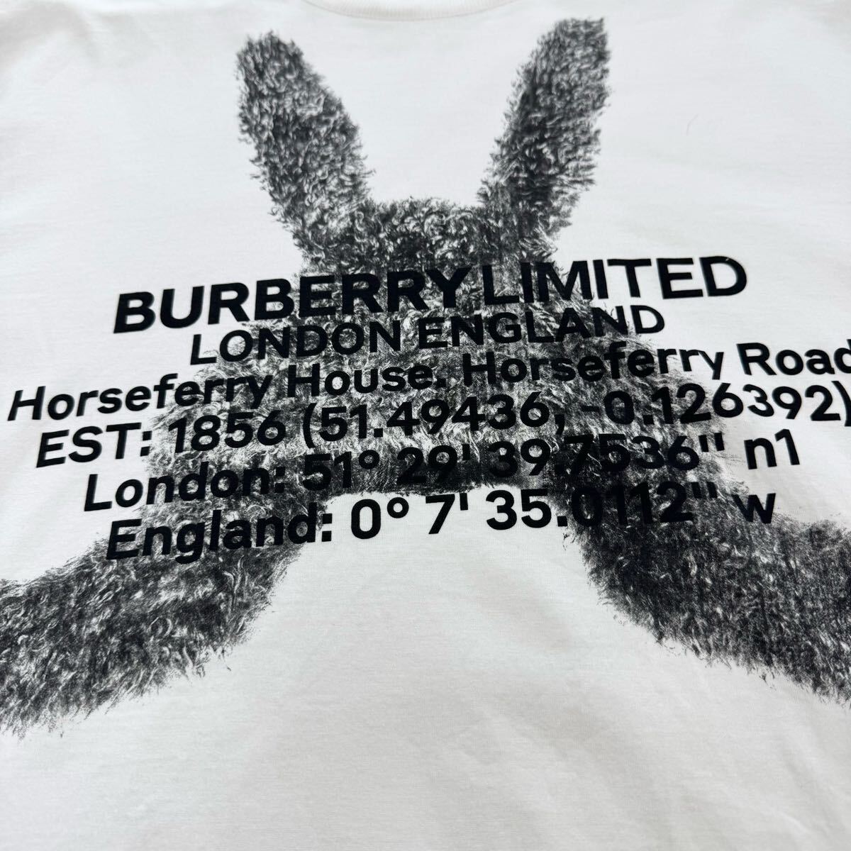 美品・現行タグ✨バーバリー　半袖Tシャツ　プリント　黒　M相当 7『極美品・現行タグ』 BURBERRY バーバリー メンズ 半袖 Tシャツ