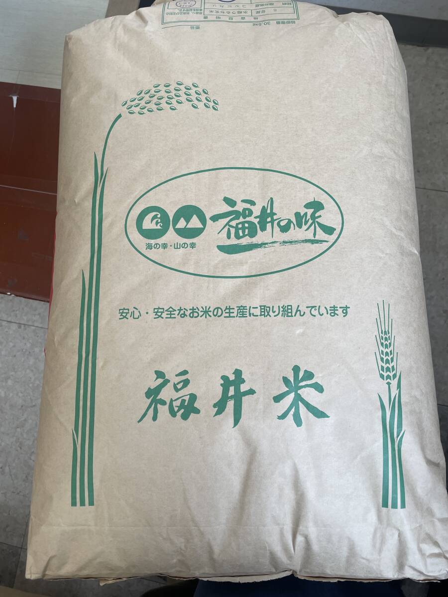 25kg令和６年福井県産こしひかり検査米１等 白米25キロ☆送料無料（北海道沖縄除く）10.05ｋｇ×２袋と5.05ｋｇで計量　コシヒカリ_2