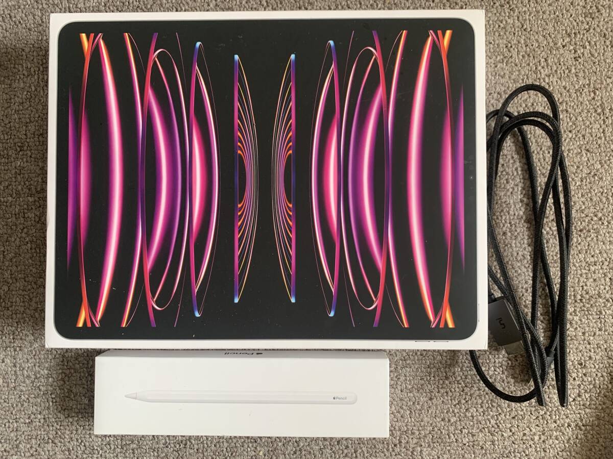 iPad Pro 第六世代　12.9インチ　128GB + Apple pencil第二世代 箱付き　ケース付き　HDMIケーブル付き2022購入_1