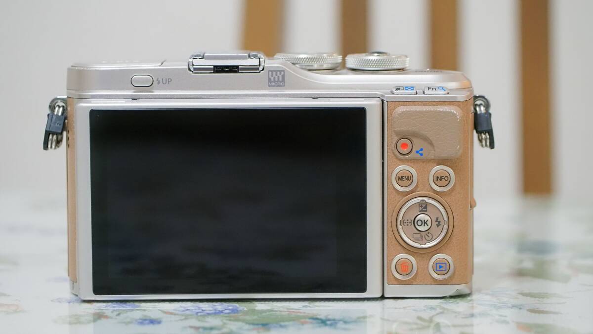 【OLYMPUS】PEN E-PL9 & M.ZUIKO DIGITAL 14-42mm 1:3.5-5.6 EZ セット_2