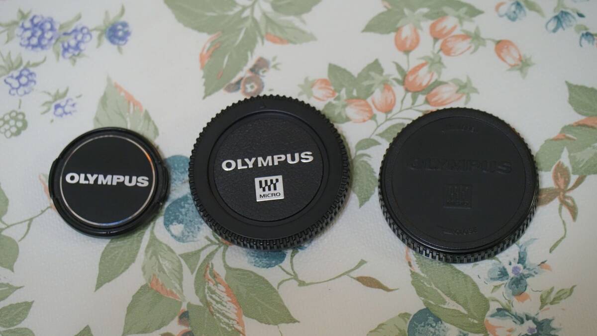 【OLYMPUS】PEN E-PL9 & M.ZUIKO DIGITAL 14-42mm 1:3.5-5.6 EZ セット_6