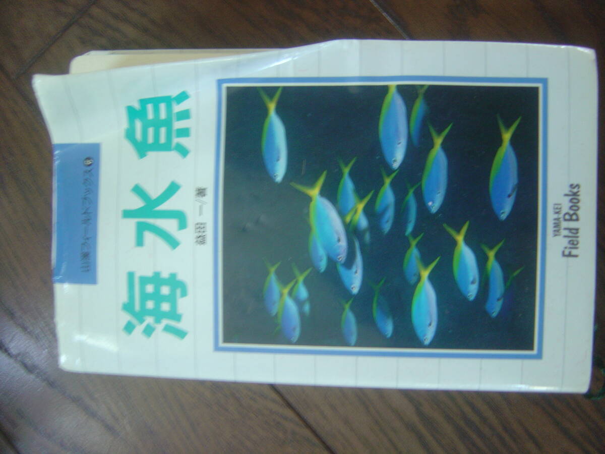 スキューバーダイビング　海水魚_1