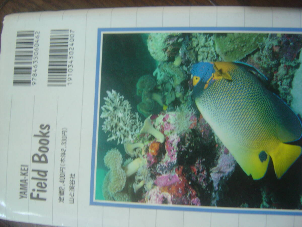 スキューバーダイビング　海水魚_2