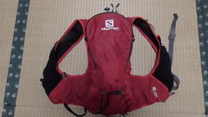 Salomon　サロモンスキンプロ１０