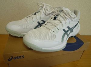 アシックス　ＧＥＬ－ＴＡＳＫ４　室内　インドアスポーツ　２８．０ｃｍ　２Ｅ　中古美