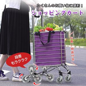 1円 ショッピング カート キャリー 折りたたみ 台車 軽量 アルミ トート バッグ レジ袋