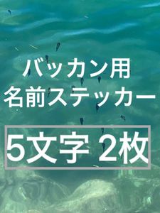 バッカン用 名前ステッカー 5文字 2枚 シマノ がまかつ マルキュー サンライン ダイワ 釣
