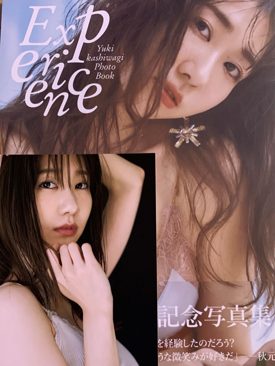 柏木由紀写真集の値段と価格推移は？｜1件の売買データから柏木由紀