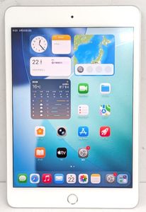 Apple アップル iPad mini 7.9インチ 第5世代 Wi-Fi+Cellular 256GB 2019年春モデル MUXP