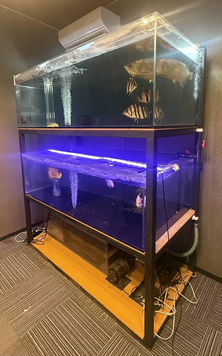 水槽専門店ワイ・エス・エス】 アクリル水槽 セット 2段式 1800 900