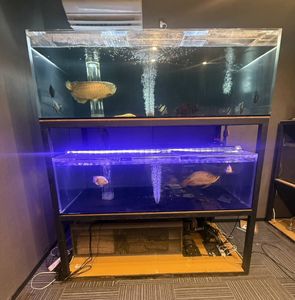 180 水槽のYahoo!オークション(旧ヤフオク!)の相場・価格を見る｜Yahoo 