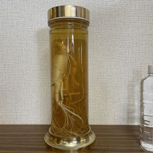 高麗人参酒のYahoo!オークション(旧ヤフオク!)の相場・価格を見る