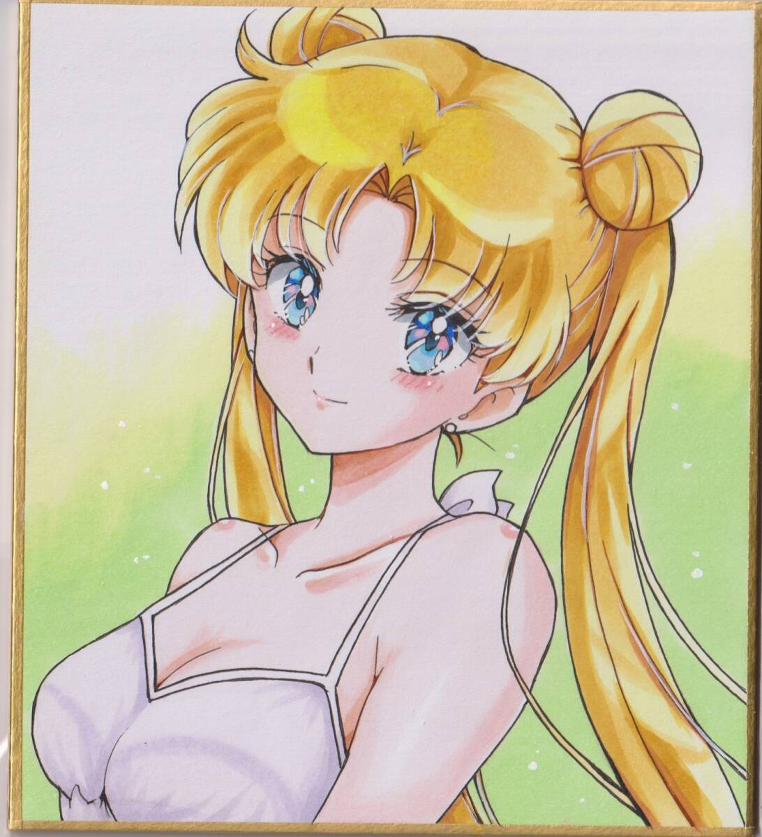 同人手描きイラスト☆セーラームーン☆うさぎちゃん☆色紙（約12