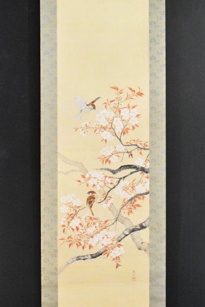 K7452 真作 徳永観林「桜花雀図」絹本 共箱 肉筆 鈴木華邨師事 スズメ