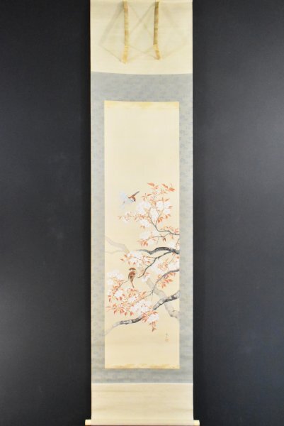 K7452 真作 徳永観林「桜花雀図」絹本 共箱 肉筆 鈴木華邨師事 スズメ